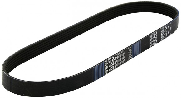 поликлиновой