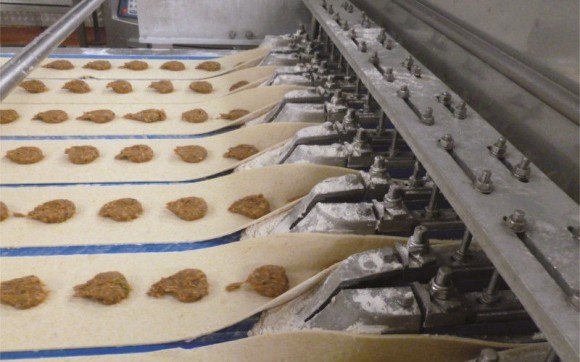 zavodsnekovvbritanii